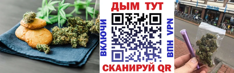 где можно купить   Судак  МЕГА   Canna-Cookies марихуана 